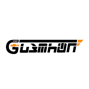 ჯი სპორტი logo