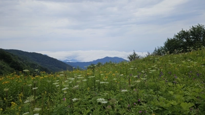 Guruli Bike Days 5th Edition - Kintrishi Valley