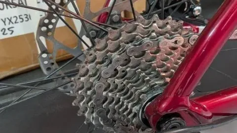 იყიდება ველოსიპედი Cannondale CAAD 13 2024
