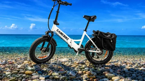 Sell eBike  SAMEBIKE 750W Model: LOTDM200-II 2026