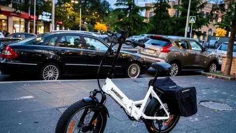 Sell eBike  SAMEBIKE 750W Model: LOTDM200-II 2026